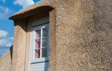 Housay thatch roof disadvantages